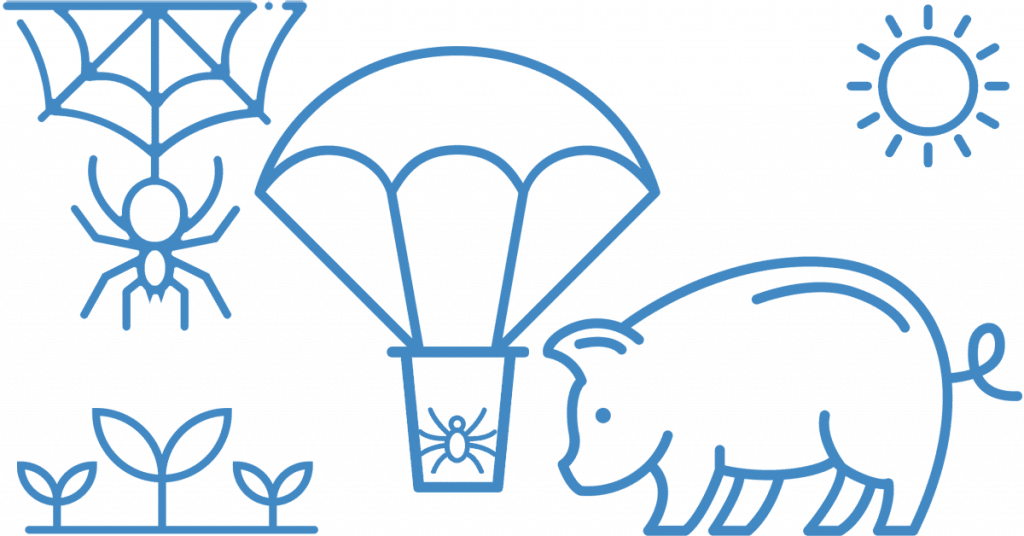 Charlotte's Web Spider Parachute STEM Activity